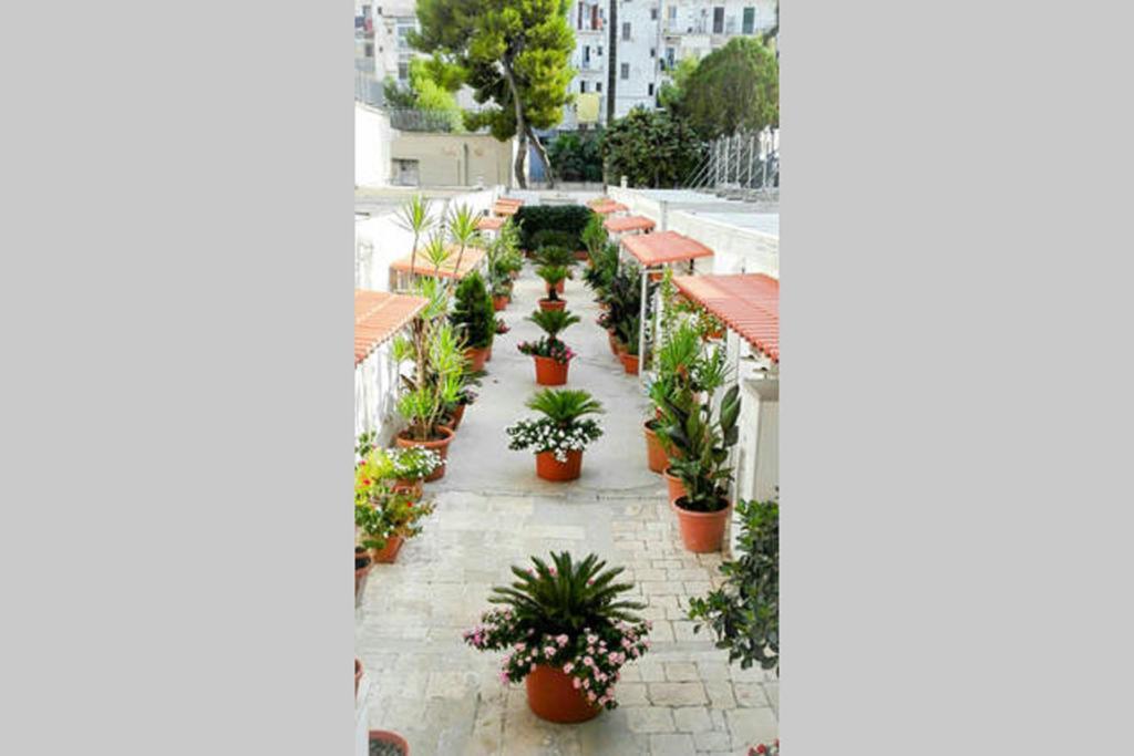 Апартаменти Al Cortile Барі Екстер'єр фото